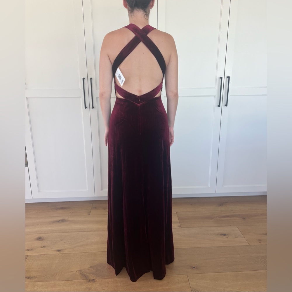 Revelry Dylan Velvet Dress - Picture 3 of 5